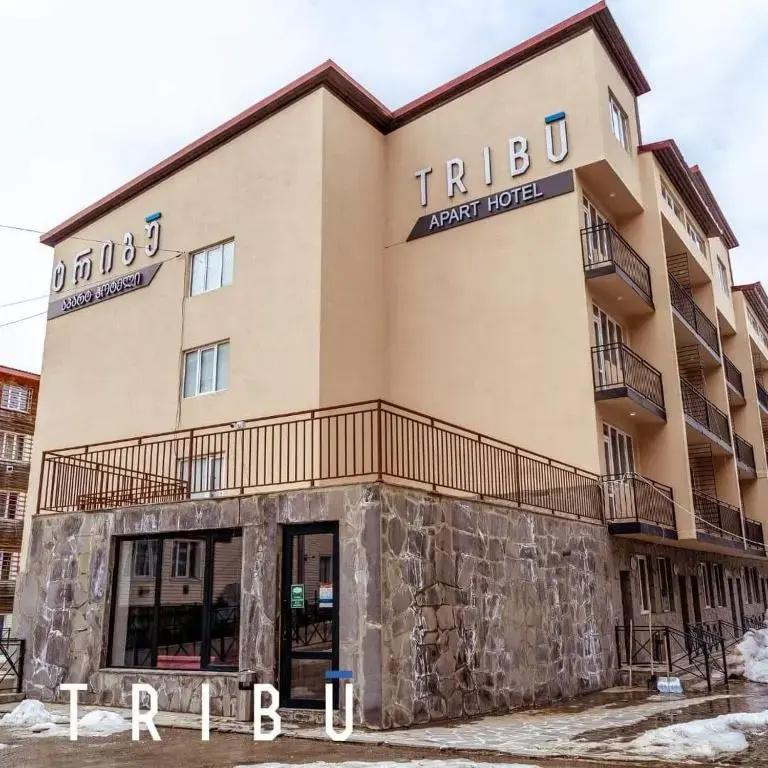 Apartment in Bakuriani