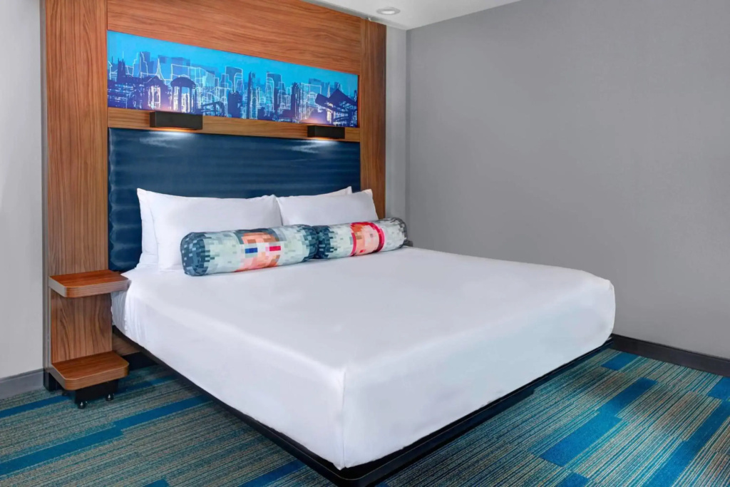 Aloft by Marriott Raleigh-Durham Airport Brier Creek - Général