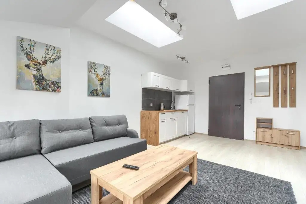 Toress Apartamenty Economy