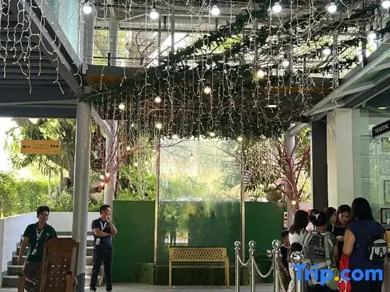 Hotel photo 26