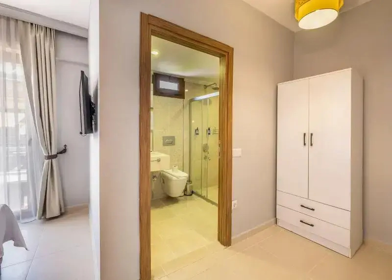 Classic Double room (twin beds)