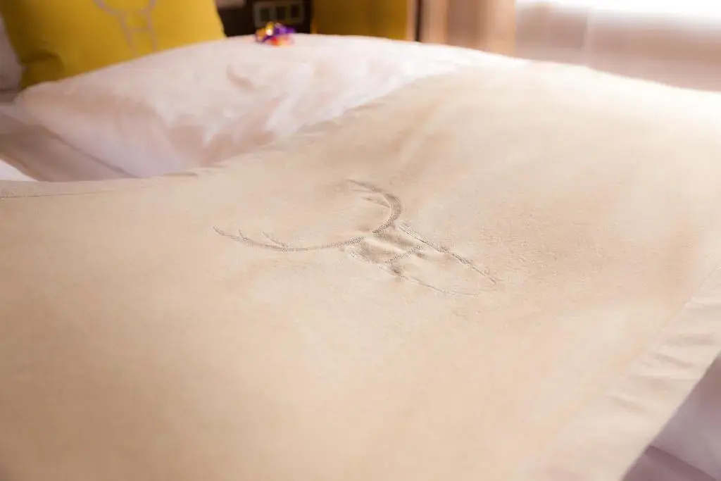 Premium Double room (full double bed)