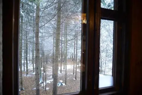 Guest house Aviator - фото 4