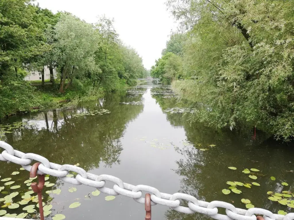 Homestay Utrecht