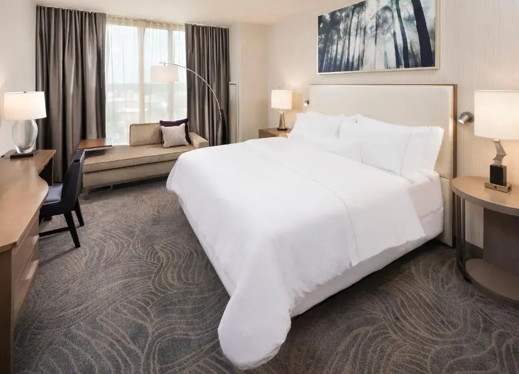 Double Junior Suite (full double bed)