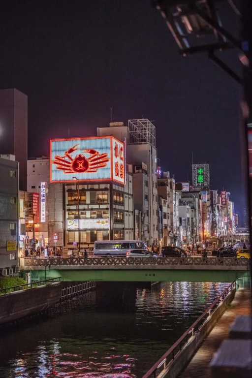 Dotonbori Shinsaibashi Hotel 사진 18