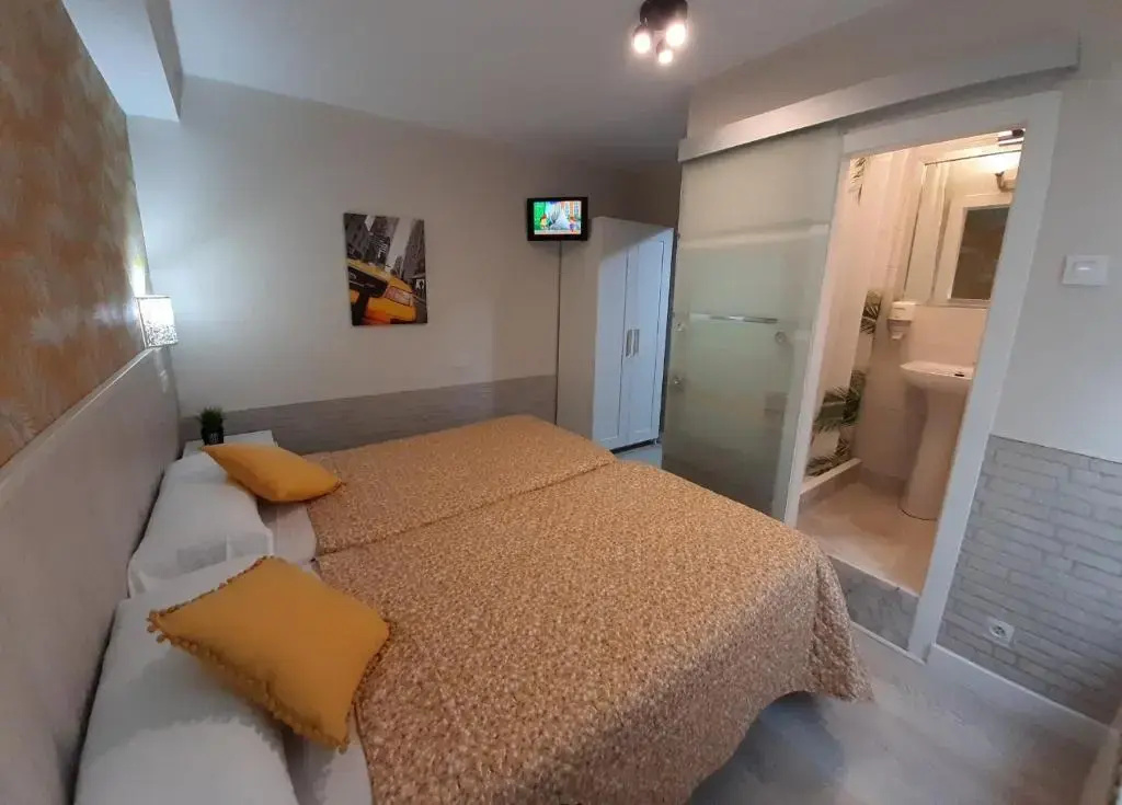 Standard Double room (twin beds)