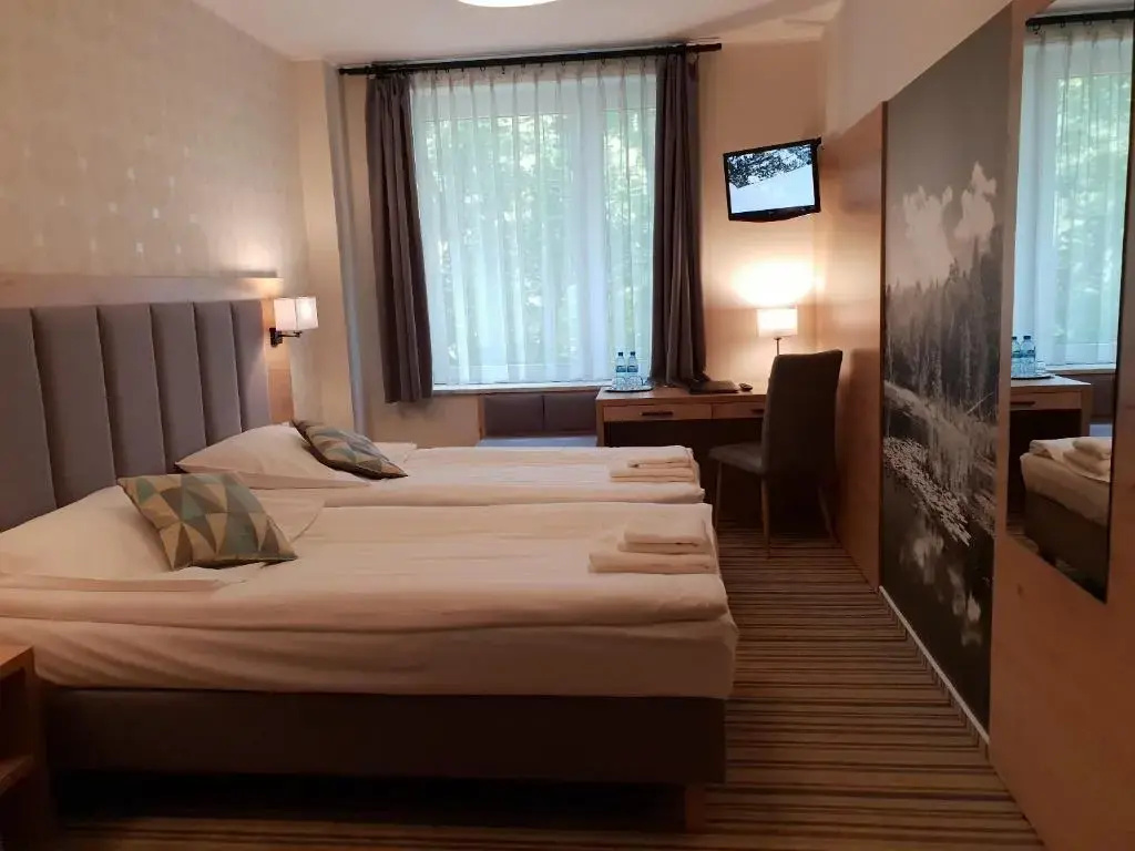 Standard Double room (full double bed)