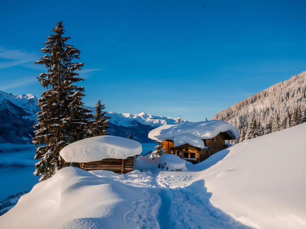 Cozy hut in Pinzgau with Finnish sauna