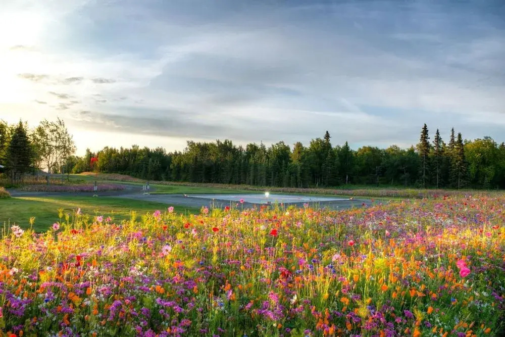 The Cannery Lodge — фото 4