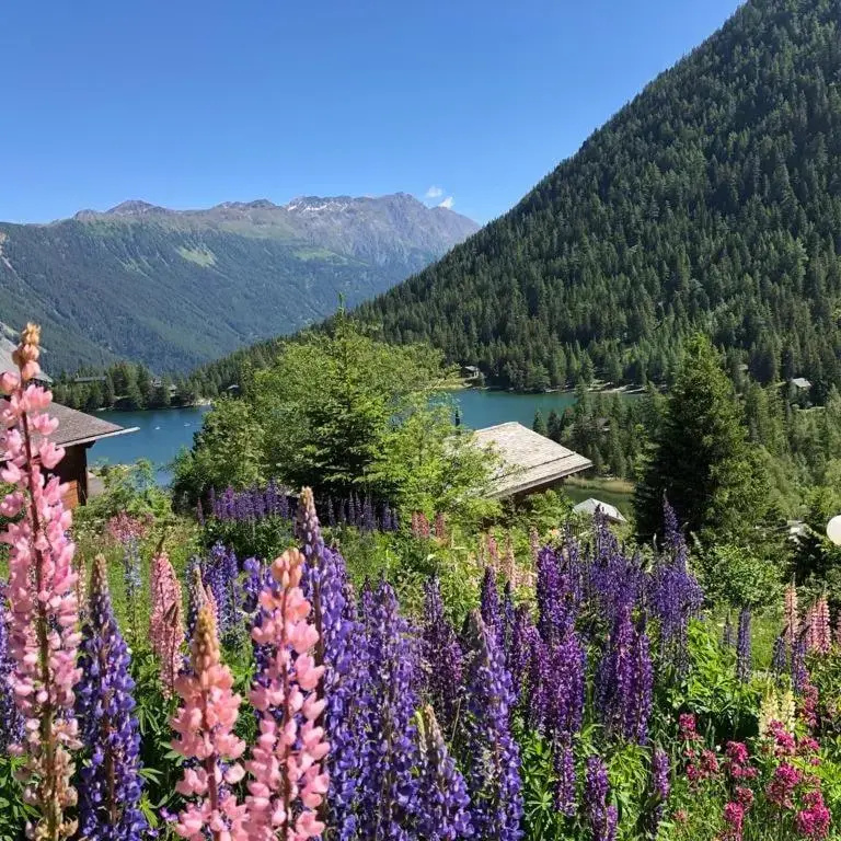 Au Vieux Champex - Chambres
