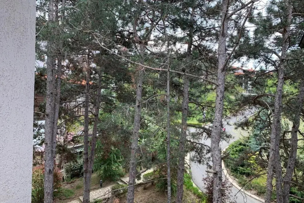 Santa Marina Holiday Village - Chambres