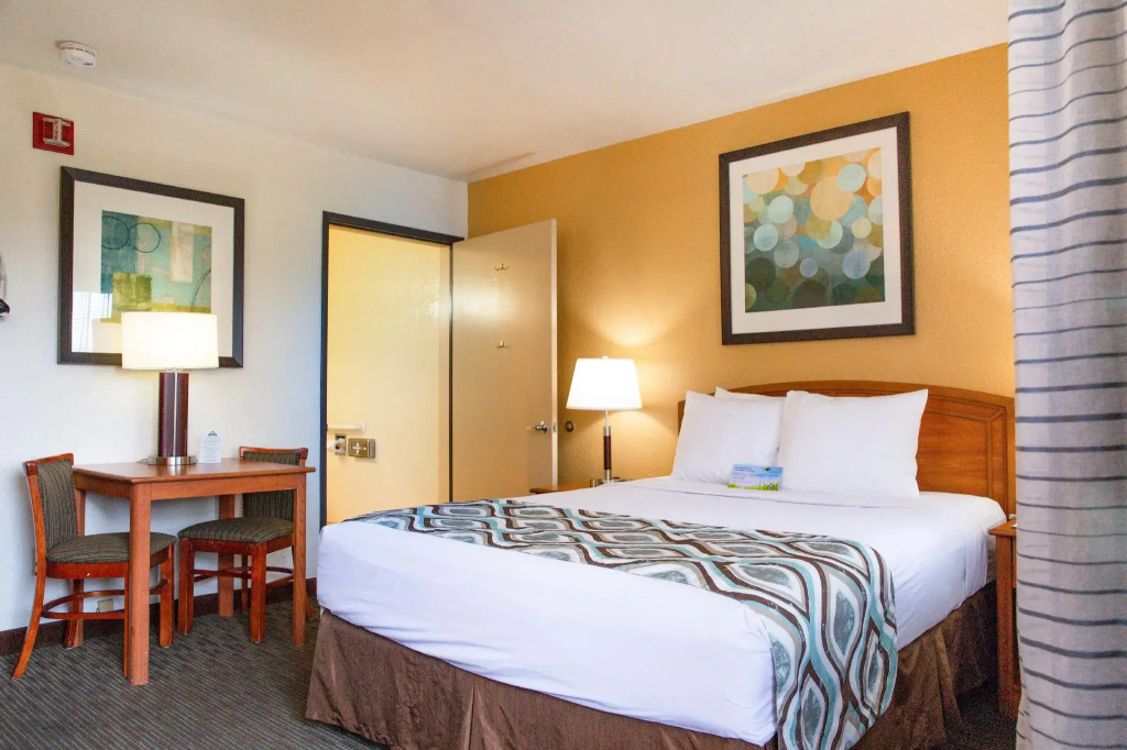 Standard Double room (full double bed)