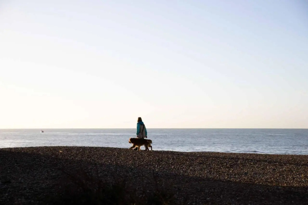 The Relais Cooden Beach - Général