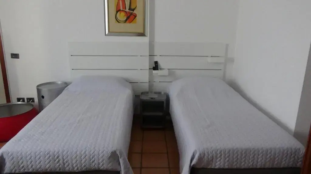 Standard Double room (twin beds)