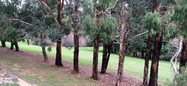 Lakeside Spa Studio Daylesford