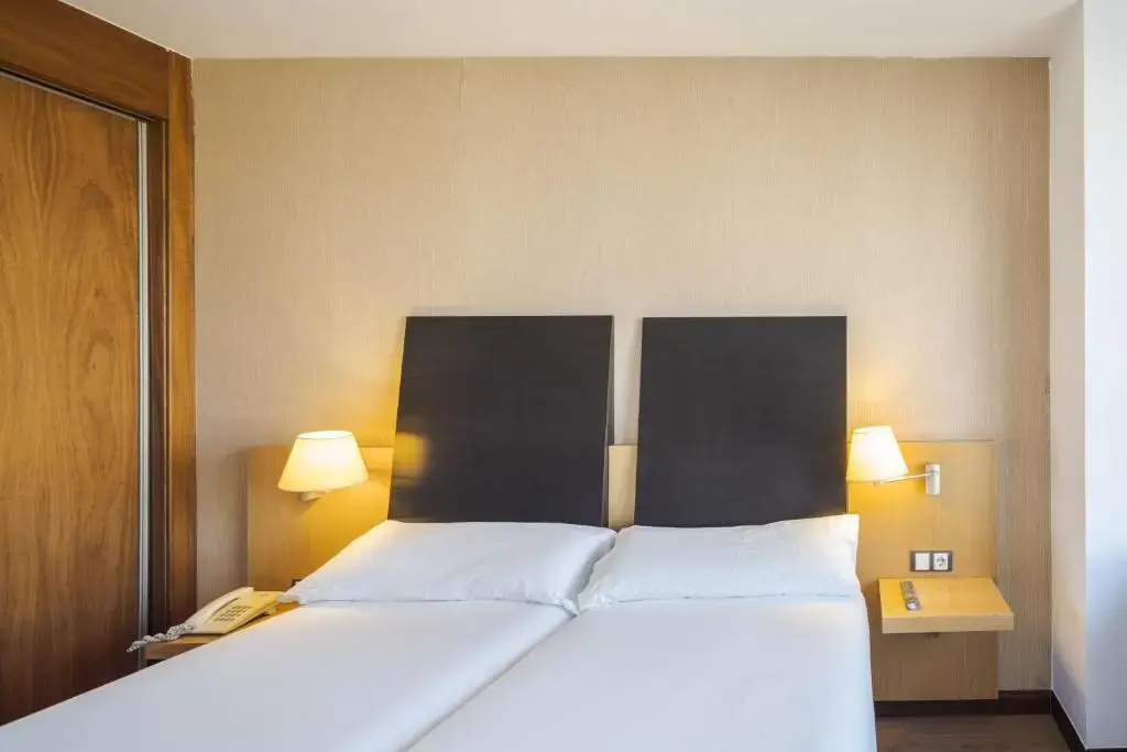 Standard Double room (twin beds)
