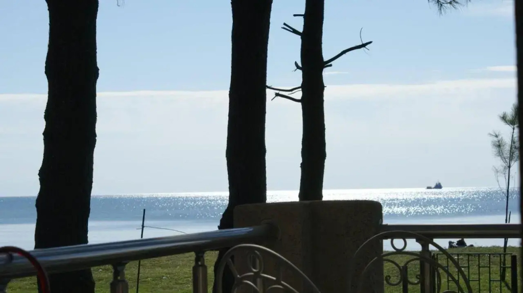 Hotel photo 49