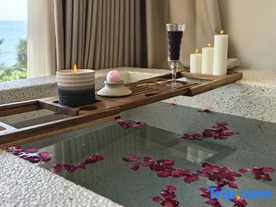Zhina South China Sea View Hotel (Lingshui Nanwan Monkey Island Branch)
