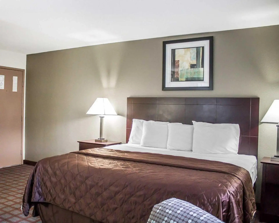 1 Bedroom Suite
