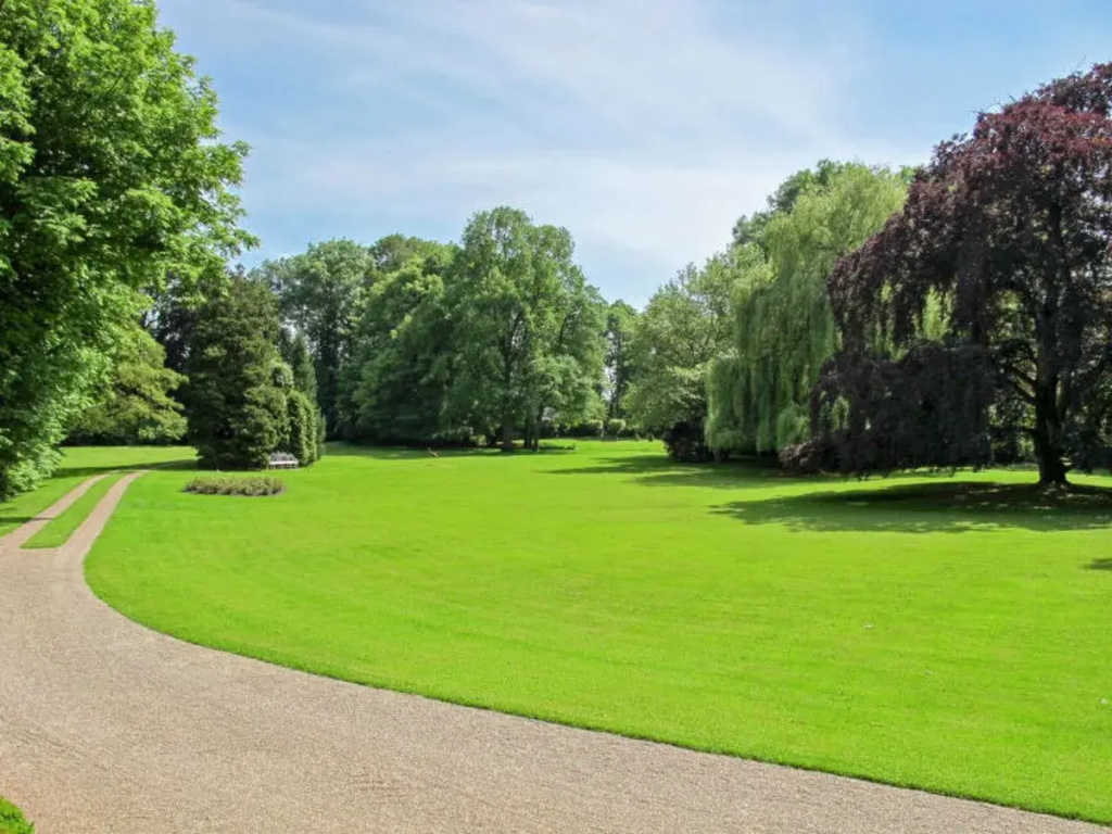 Entertainment