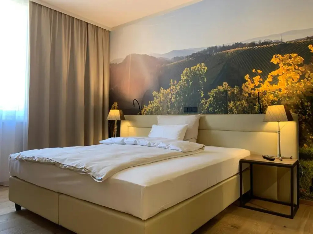 Standard Double room (full double bed)