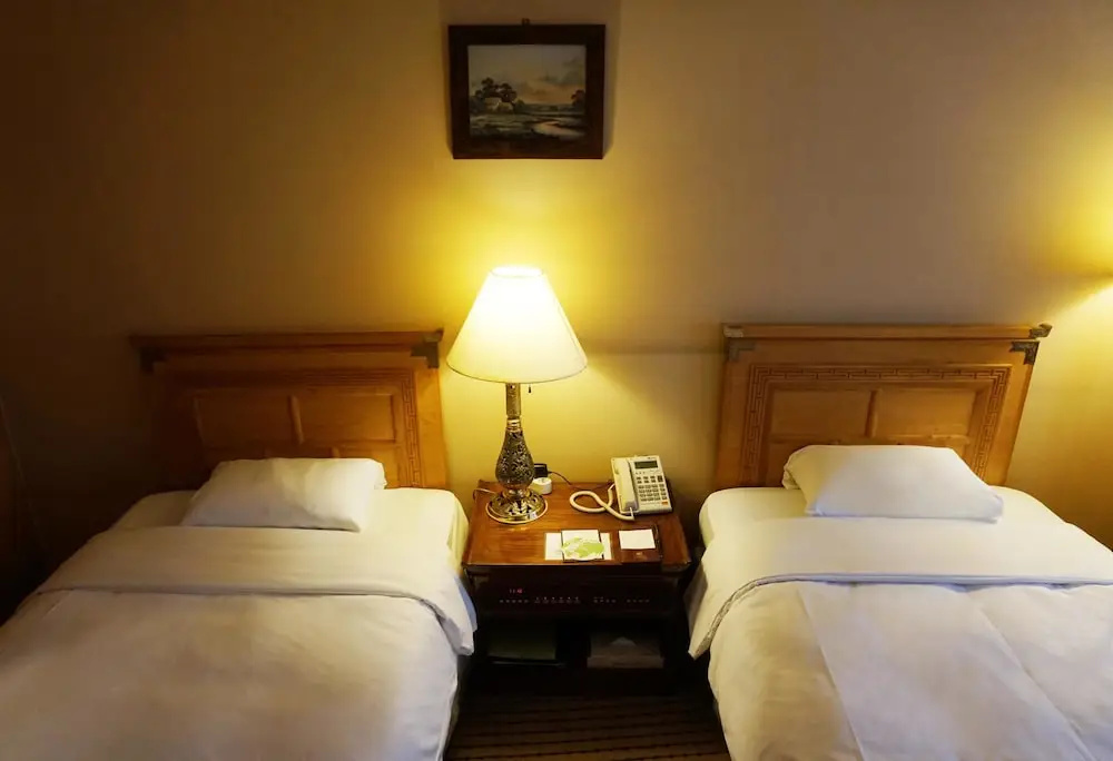 Business Double room with city view (twin beds)