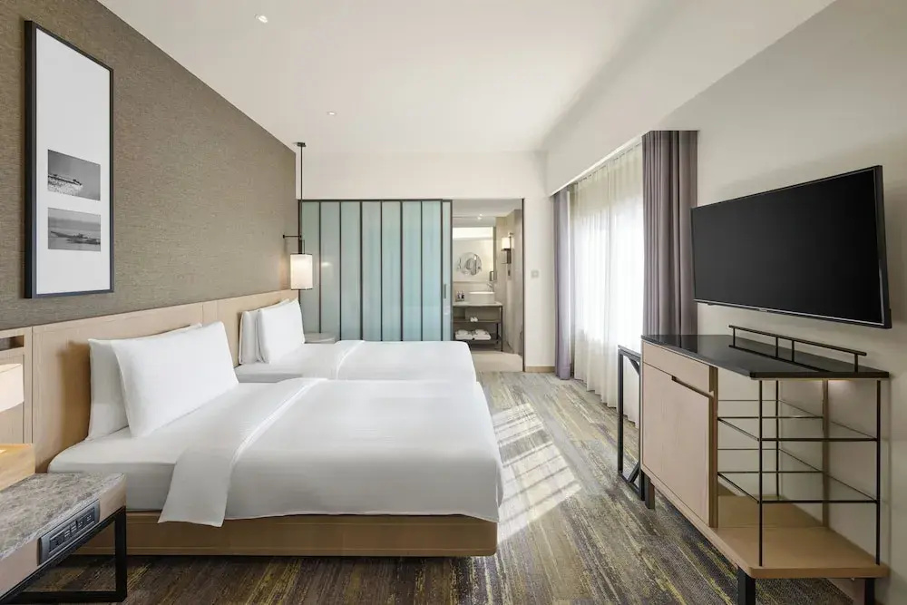 Deluxe Double room with city view (twin beds)