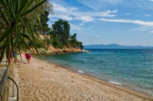 Beach & Waterfront