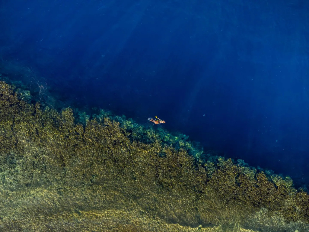 Rixos Sharm El Sheikh Ultra All Inclusive - Adults Friendly: Aerial view of a coral reef beneath clear blue water, with a snorkeler nearby.