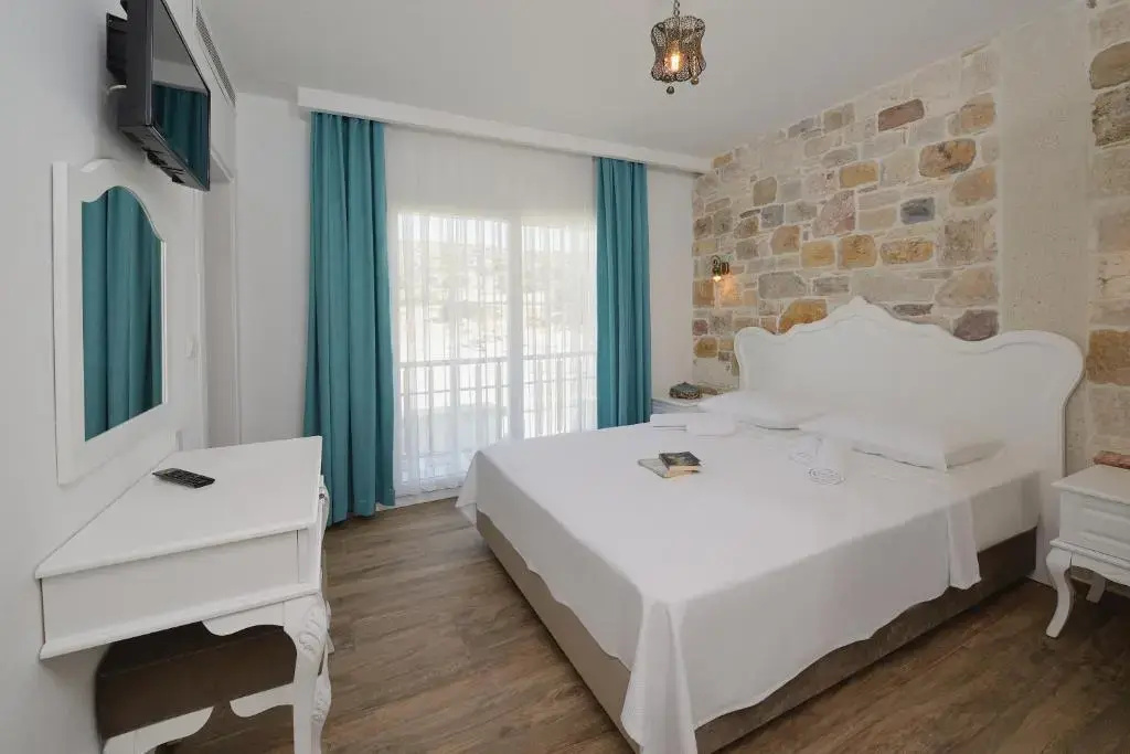 Standard Double room with mountain view (full double bed)