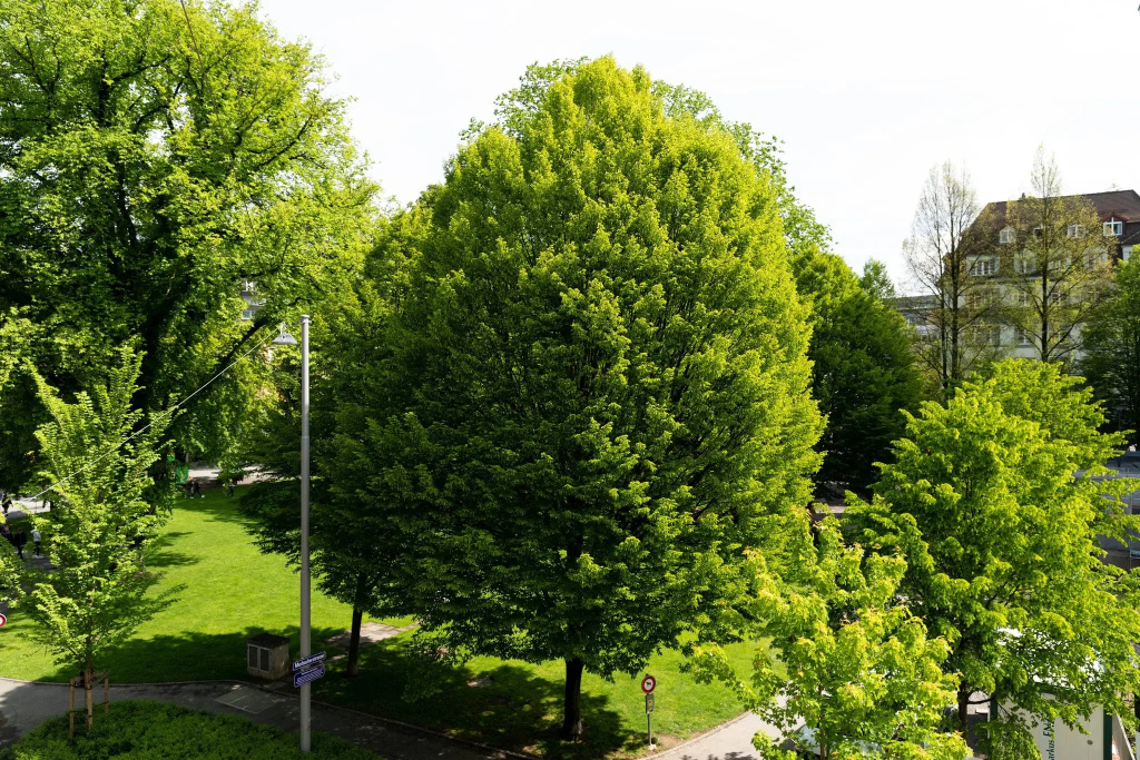 Hotel photo 46