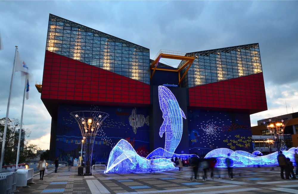 Yolo Hotel Museum 사진 21