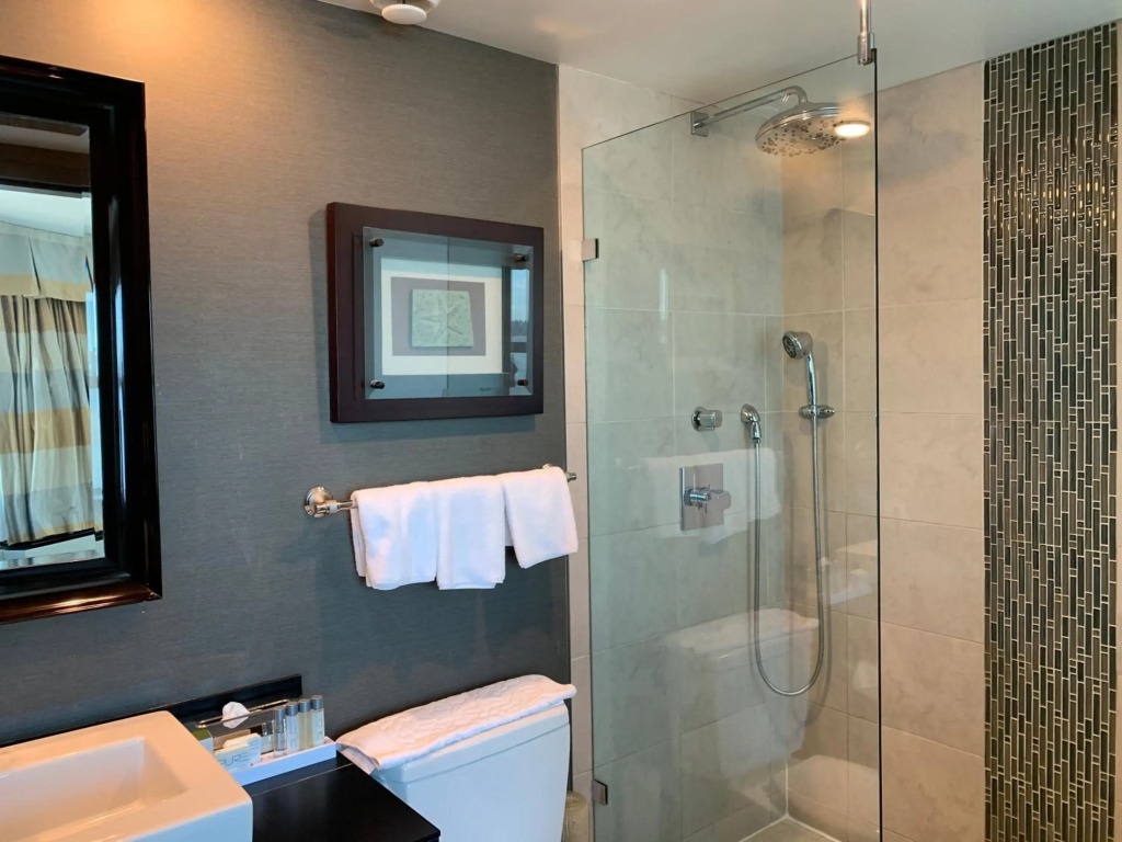 Lonsdale Quay Hotel - фото 9