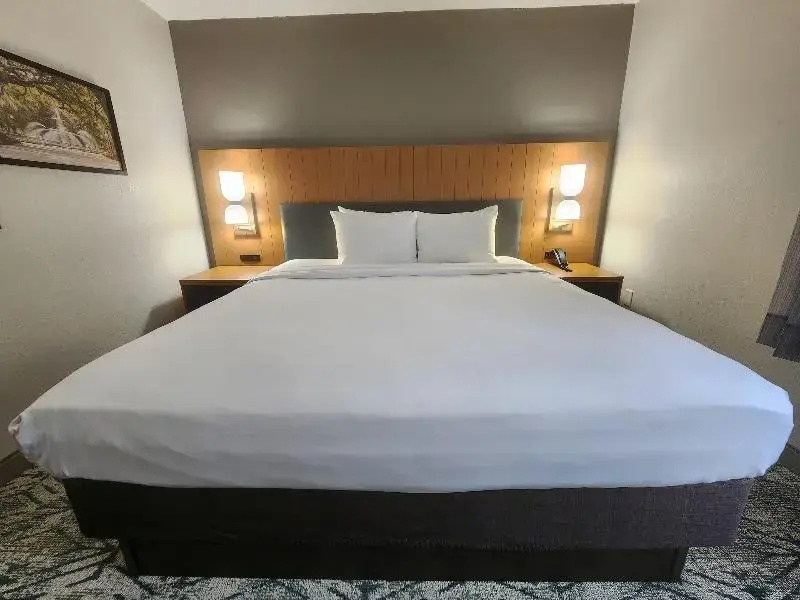 Country Inn & Suites by Radisson, Dahlgren-King George, VA - Chambres