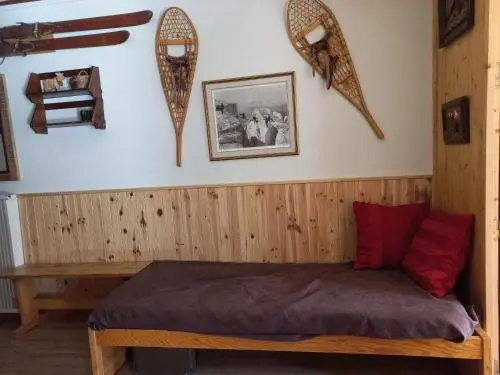 Apartment Appartement deux pieces sud , 500 metres des pistes.