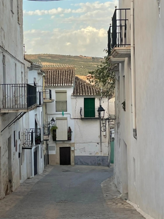 Casa Mandarina
