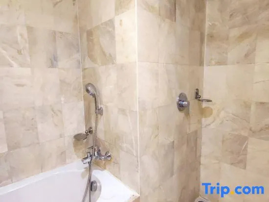 Одноместный полулюкс в Diamond Plaza Hotel Suratthani
