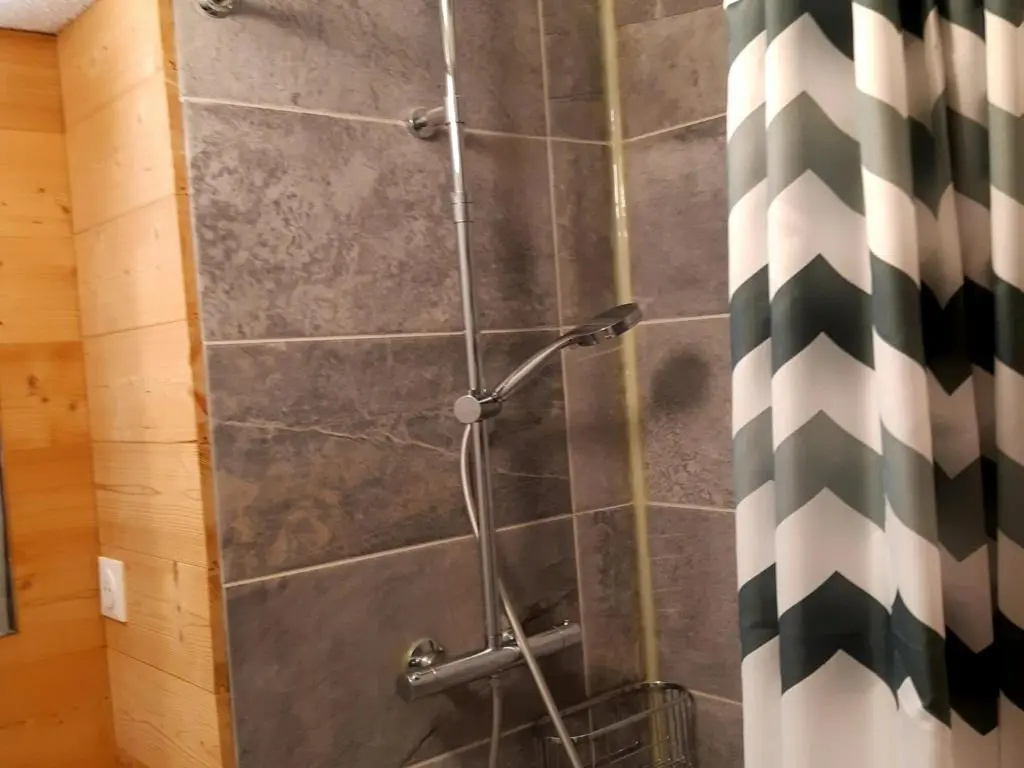 Afficher la photo 8 — Appartement Les Deux Alpes, 2 pièces, 4 personnes - FR-1-516-154