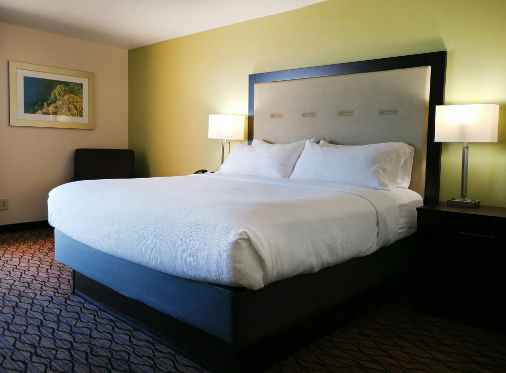 Holiday Inn Corpus Christi Downtown Marina by IHG - Général
