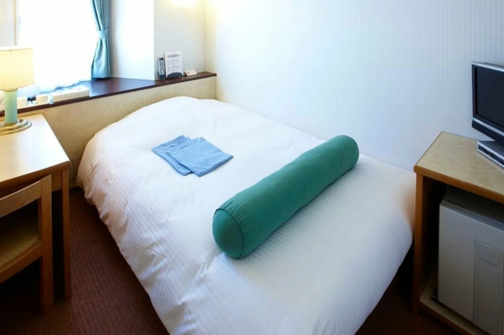 Sunlite Shinjuku Hotel 사진 21