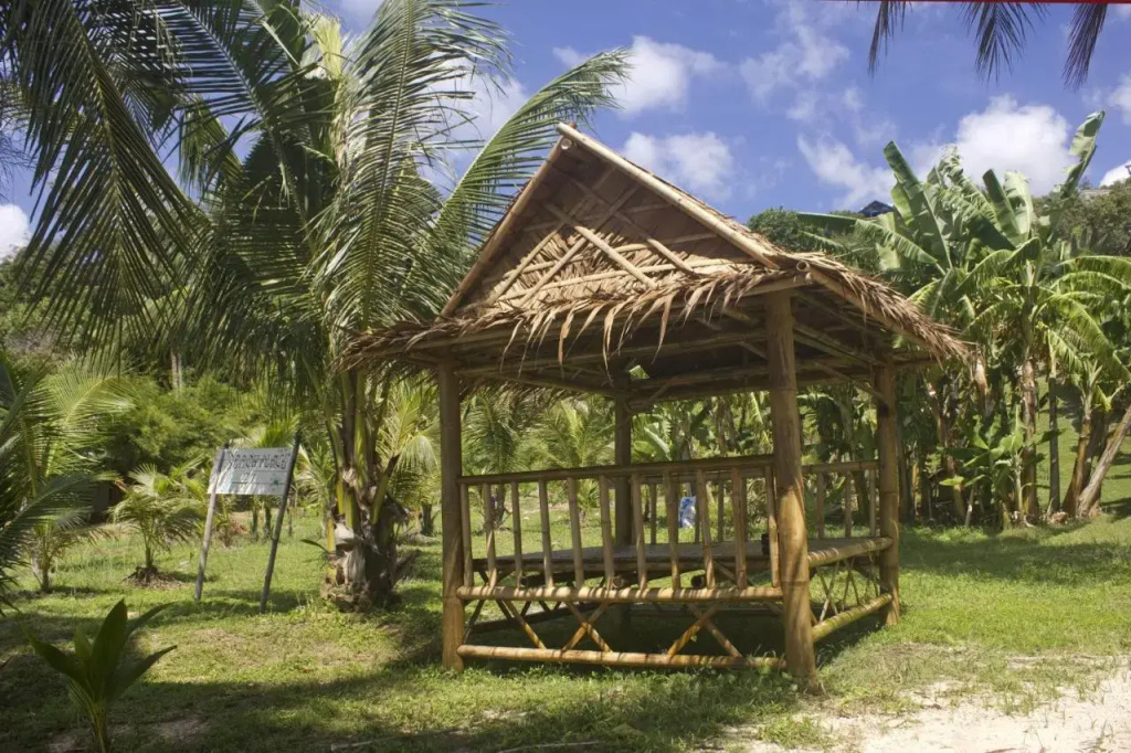 The Green Palm - фото 20
