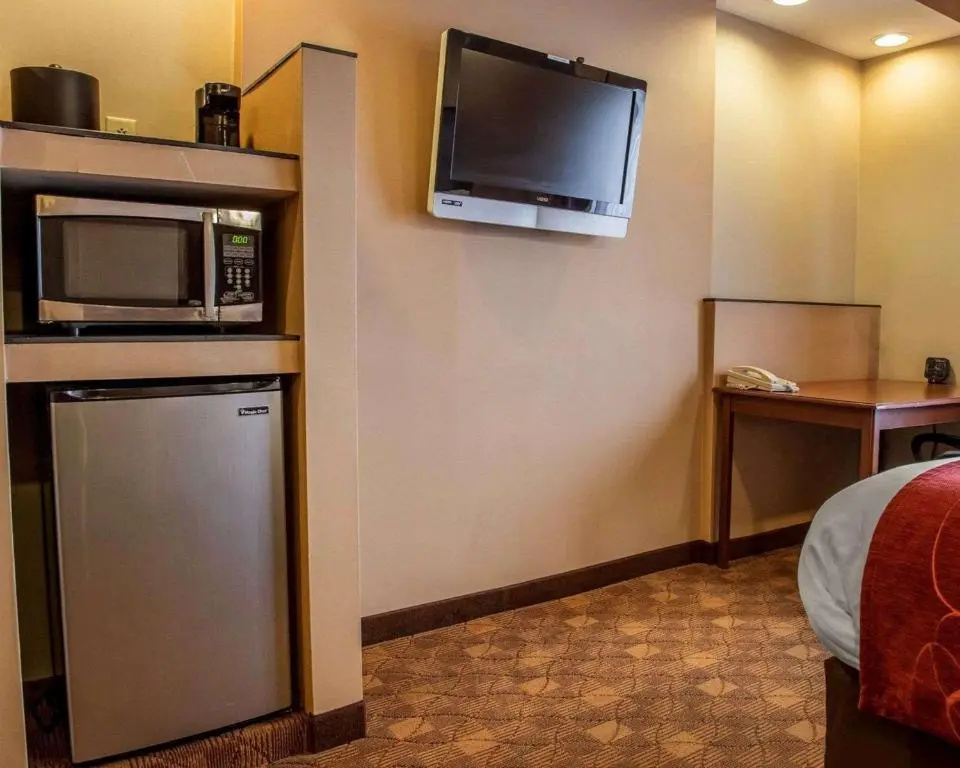 Standard Suite