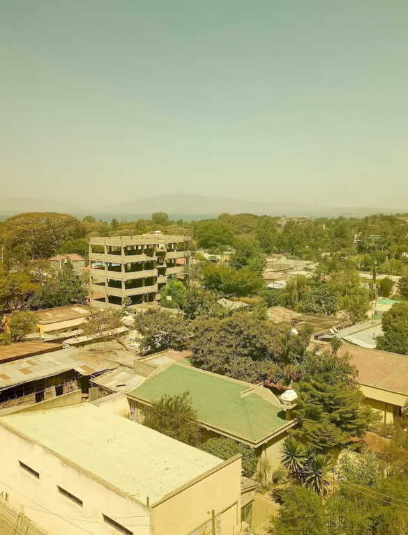 Central Hawassa hotel - Chambres
