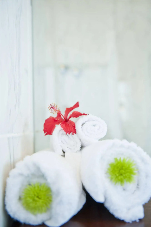 The Saint James on Venice Luxury Guest House - фото 23