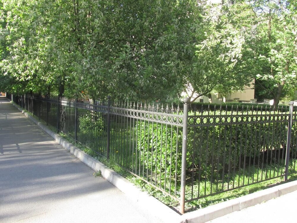 Image 11