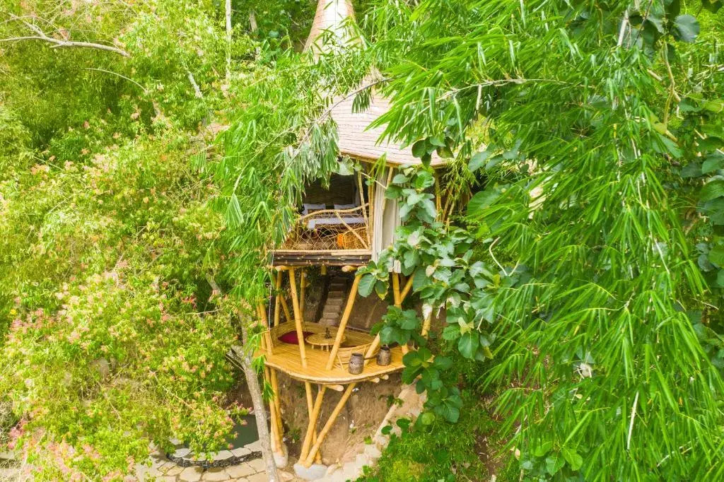Bambu Indah