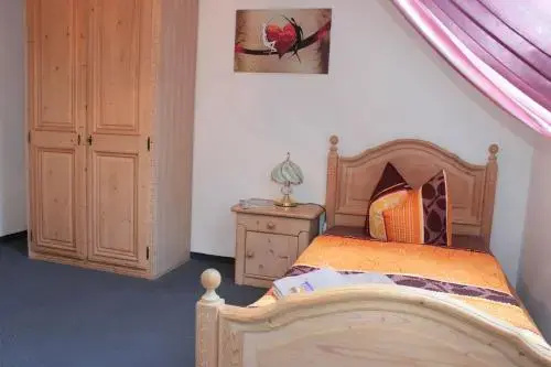 Hotel Stadt Pausa - Général