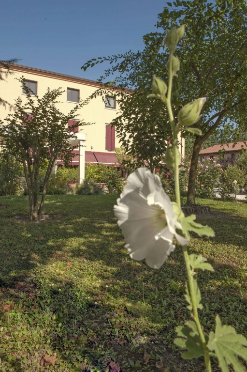 Villa Belfiore - 2