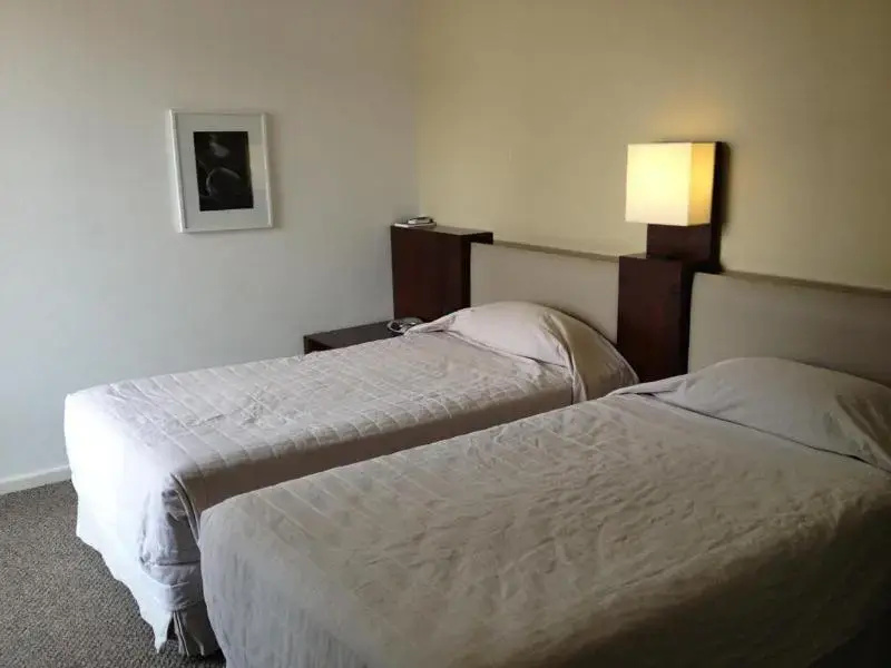 Deluxe Double room (twin beds)